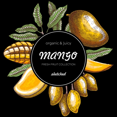 Tropical fruit banner collage style. Summer background. Mango sketch, hand-drawn vector illustration. Juice packaging, invitation card template, print design. NOT AI generated